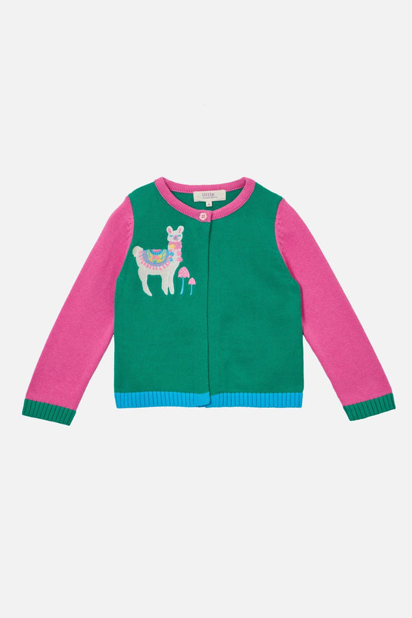 Princess Highway - Llama Kids Cardigan - multi