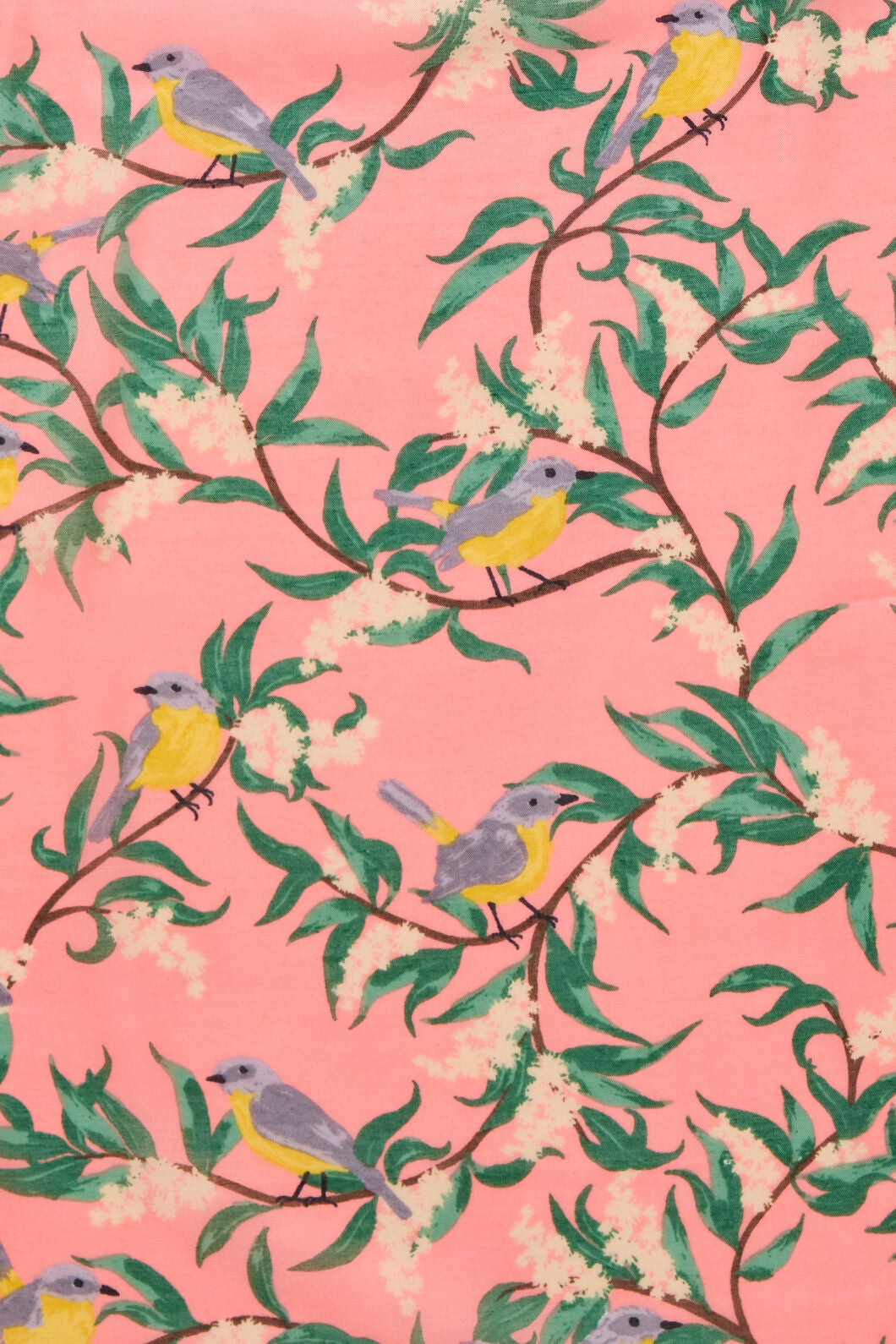 Princess Highway - Eastern Yellow Robin Scarf - pink