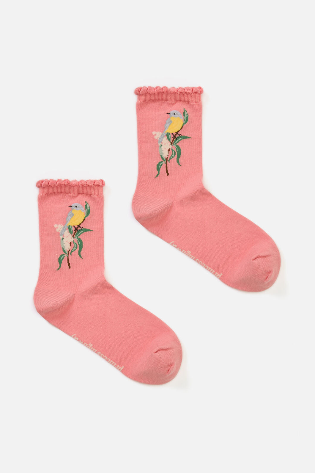 Princess Highway - Eastern Yellow Robin Sock - pink