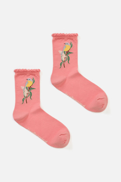 Princess Highway - Eastern Yellow Robin Sock - pink