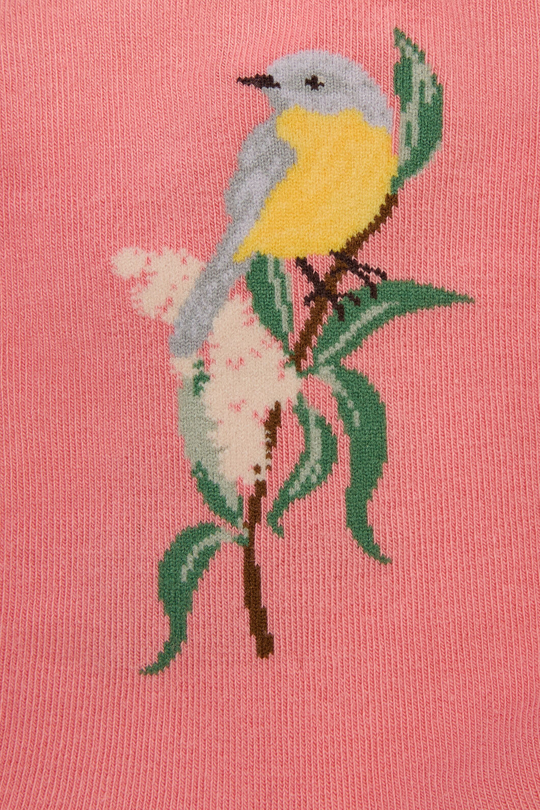 Princess Highway - Eastern Yellow Robin Sock - pink