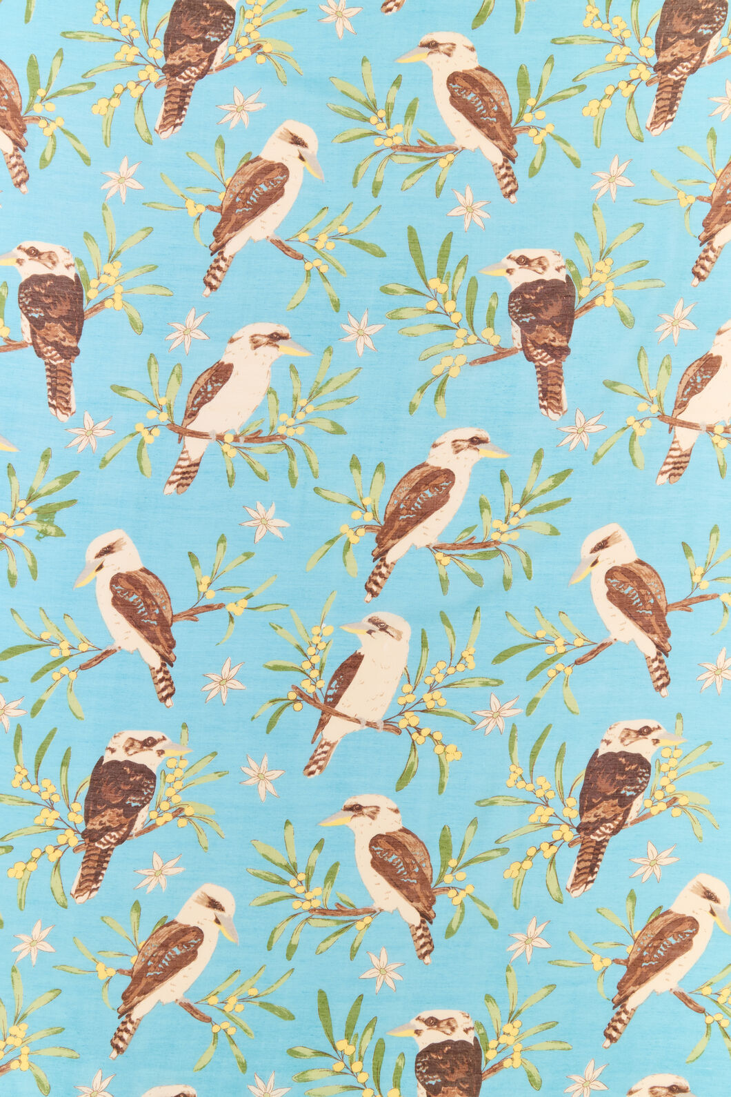 Princess Highway - Kookaburra Soft Scarf - blue