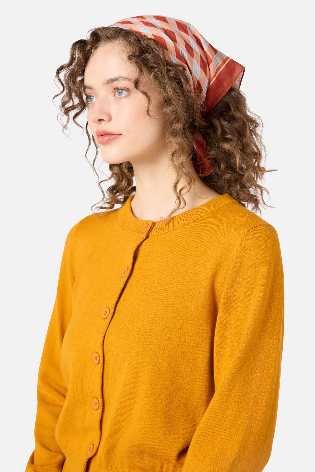 Princess Highway - Rust Check Small Scarf - rust