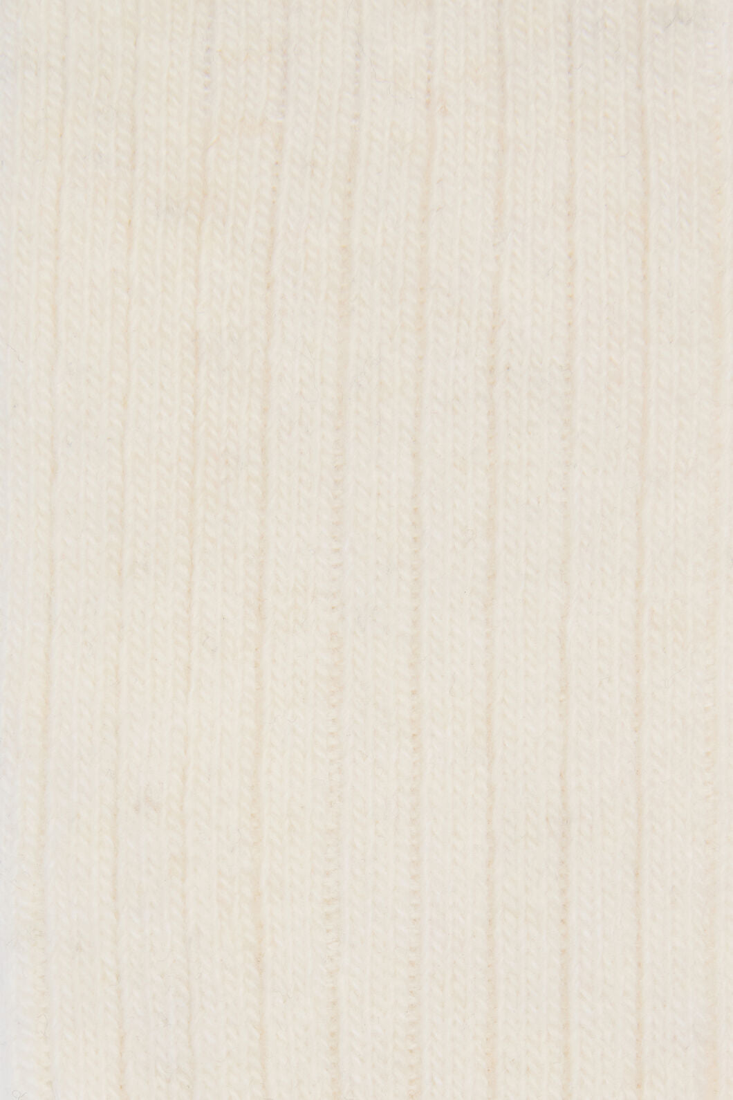 Princess Highway - Cream Long Rib Sock - cream